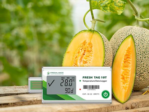 Disposable Temperature Loggers For Cold Chain