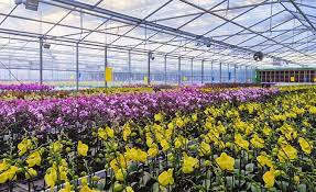 Flower Disposable Temperature Data Logger Manufacturer