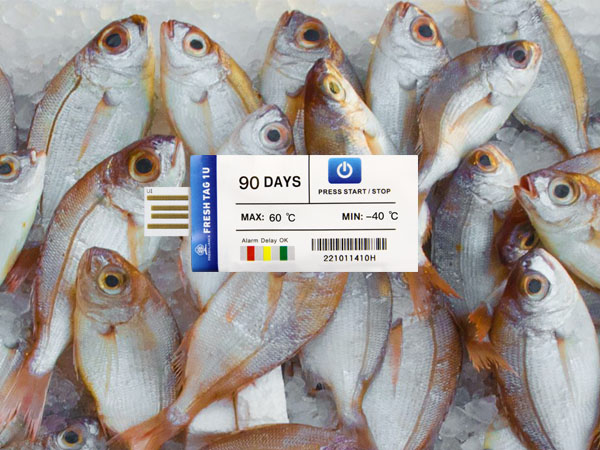 Fish cold chain requires PDF Temperature data logger