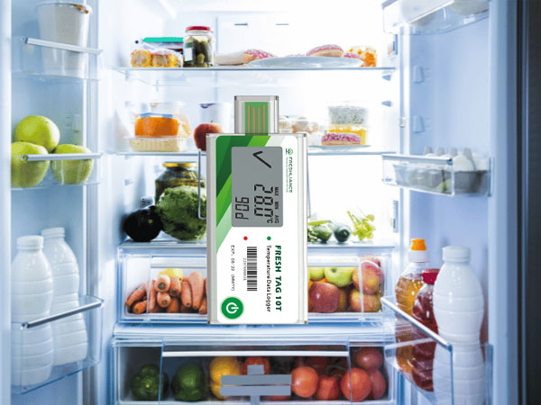 Refrigerator temperature data logger with display