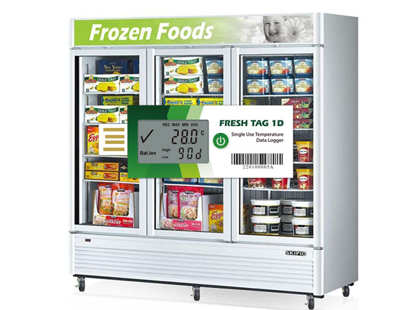 Freezer temperature recorder with LCD display