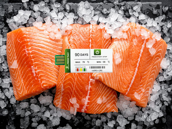 USB temp data logger for salmon refrigeration