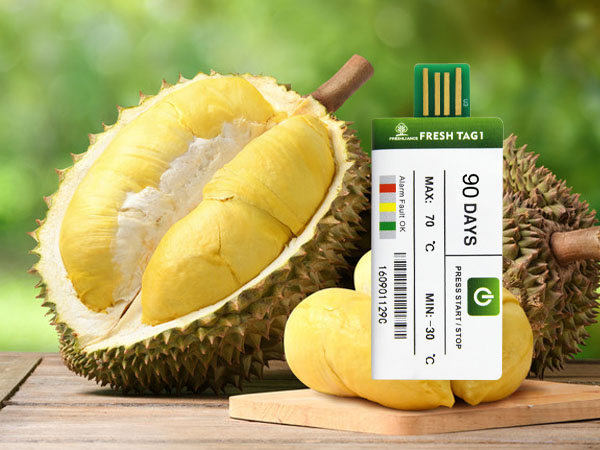 PDF disposable temperature recorder for durian transportation